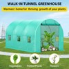 Walk-in Greenhouse, Galvanized Steel Frame with 6 Mesh Windows & Two Full Zipper Door - 2 of 4