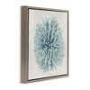 Stupell Industries Coral Ball Blue Sea Beach Design, 25" x 25" - 3 of 4