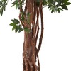 7.5" Lychee Tropical Evergreen Silk Tree - Nearly Natural - image 3 of 3