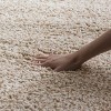 Santa Monica Shag SGN725 Power Loomed Area Rug  - Safavieh - image 4 of 4