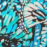 teal blue butterfly
