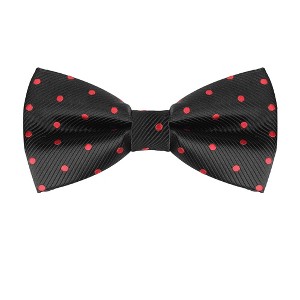 Allegra K Men's Pre-Tied Adjustable Polka Dots Tuxedo Work Party Prom Bow Ties - 1 of 4