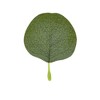Farmlyn Creek 3 Pack Artificial Eucalyptus Willow Garland, Fake Faux Greenery Leaves, 6.5 Feet - 4 of 4