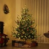 HOMCOM 6 ft PreLit Nordic Pine Artificial Christmas Tree, Hinged Xmas Tree with 300 LED Lights and 795 Branch Tips for Holiday Party Decor, Green - 3 of 4