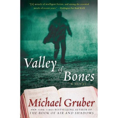 Valley of Bones - (Jimmy Paz) by  Michael Gruber (Paperback)