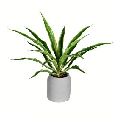 Vickerman 23" Artificial Potted Yucca Plant in Classic White Ceramic Pot.