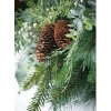 Sullivans Artificial Mix Pine and Eucalyptus Wreath - 3 of 3