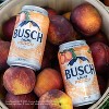 Busch Light Peach American Lager Beer - 24pk/12 fl oz Cans - 4 of 4