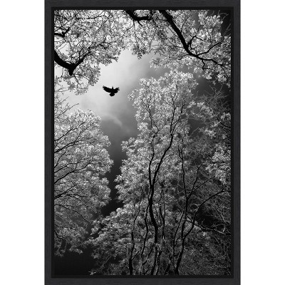 Amanti Art Flight by Goran Stamenkovic Canvas Wall Art Print Framed 16-in. x 23-in.