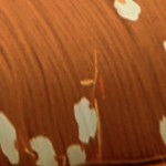 brick red-four-line right angle wave