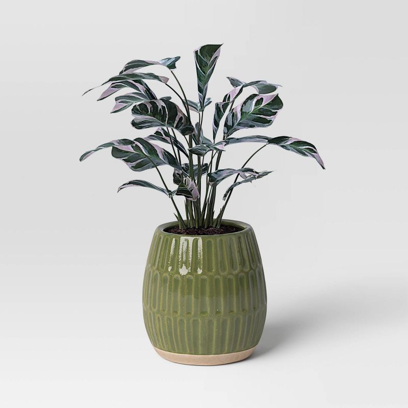 Reactive Glaze Ceramic Indoor Outdoor Planter Pot - Threshold™, 4 of 6