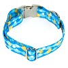 Country Brook Petz Premium Just Ducky Dog Collar - 4 of 4