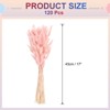 Unique Bargains Decorative Natural Dried Floral Bunny Tail Artificial Plants 120 Pcs - 2 of 4