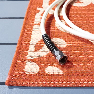 Terracotta and Natural Rectangular Synthetic Indoor/Outdoor Area Rug