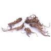Van Zyverden 5ct Roots Rhubarb Victoria - 4 of 4