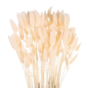 Unique Bargains Decorative Natural Dried Floral Bunny Tail Artificial Plants 120 Pcs - 1 of 4