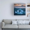 Trademark Fine Art Shenshen Dou  Bubbles in the lake Canvas Wall Art - 2 of 4