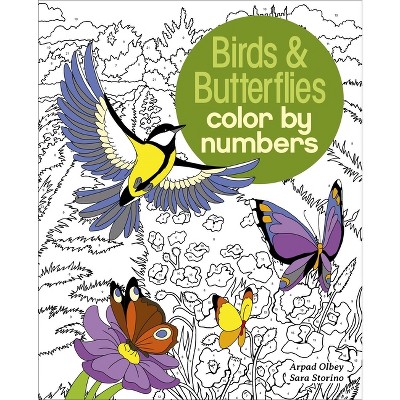 Birds & Butterflies Color by Numbers - (Sirius Color by Numbers Collection) by  Sara Storino & Arpad Olbey (Paperback)