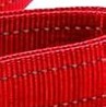 red w/ leash