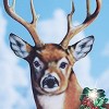 Collections Etc Solar Deer Stakes - 3 of 3