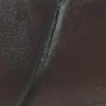 chocolate brown