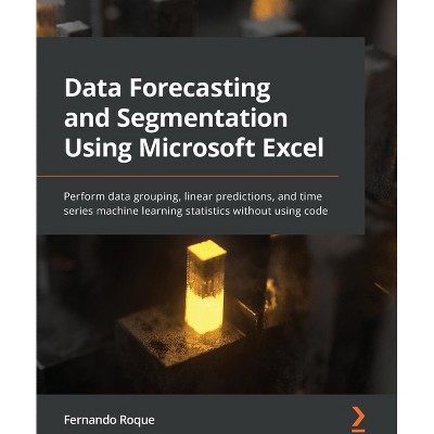 Data Forecasting and Segmentation Using Microsoft Excel - by  Fernando Roque (Paperback)