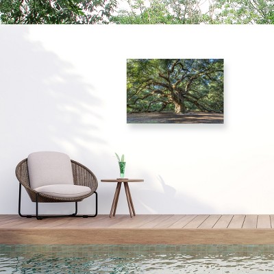 "Angel Oak Charleston" Outdoor All-Weather Wall Decor