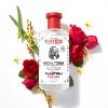 Thayers Natural Remedies Witch Hazel Alcohol Free Toner with Rose Petal - image 2 of 4