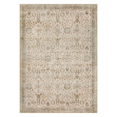 Lahome Vintage Full Coverage Floral Border Short Pile Velvet Rectangular Indoor Area Rug