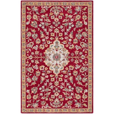 Blossom BLM688 Handmade Tufted Accent Rug - Red/Ivory - 3' X 5' - Safavieh