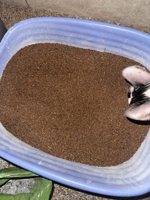 Guest review image 1 of 2, zoom in