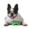Arm & Hammer Rock-N-Roller Dog Chew Toy – MacroPetz
