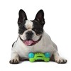 Arm & Hammer Nubbies Duality Bone Dental Dog Toy : Target