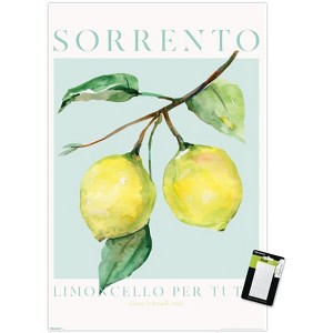 Trends International Reinders: Fruit Market - Limoncello Per Tutti Unframed Wall Poster Prints - 1 of 4