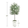PAGED Indoor & Outdoor Artificial Olive Tree with Pot and Moss, Faux Plants Artificial Trees with Natural Wood Trunk, Room Decor for Home, Foyer - 3 of 4