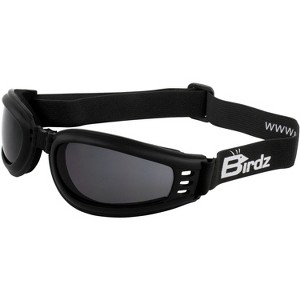 Birdz Eyewear Cardinal Safety Goggles - 1 of 4