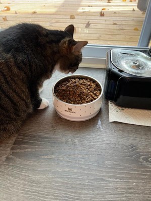 Guest review image 3 of 4, zoom in