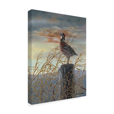 Trademark Fine Art -Carolyn Mock 'Quail On A Post' Canvas Art