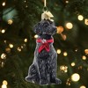 Kurt Adler Noble Gems Glass Ornament for Christmas Tree, Black Lab Retriever - 3 of 3