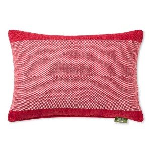 TOWN & COUNTRY TERRA Alara Solid Border Handcrafted Indoor Outdoor Decorative Pillow - 1 of 4
