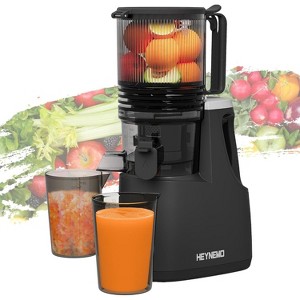 Heynemo Juicer Machines, 5.9" Wide Feed Chute Cold Press Juicer for Whole Vegetable & Fruit, 250W Slow Masticating Juicer Machines - 1 of 4