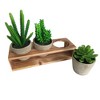 Rustic Style Artificial Succulent Plants Decorative Faux Fake Cactus Cacti Succulents with Pot Removable Wood Display Stand Indoor Office Home Décor - 4 of 4