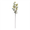 Green Faux Pod Branches (Set of 6) - 2 of 2