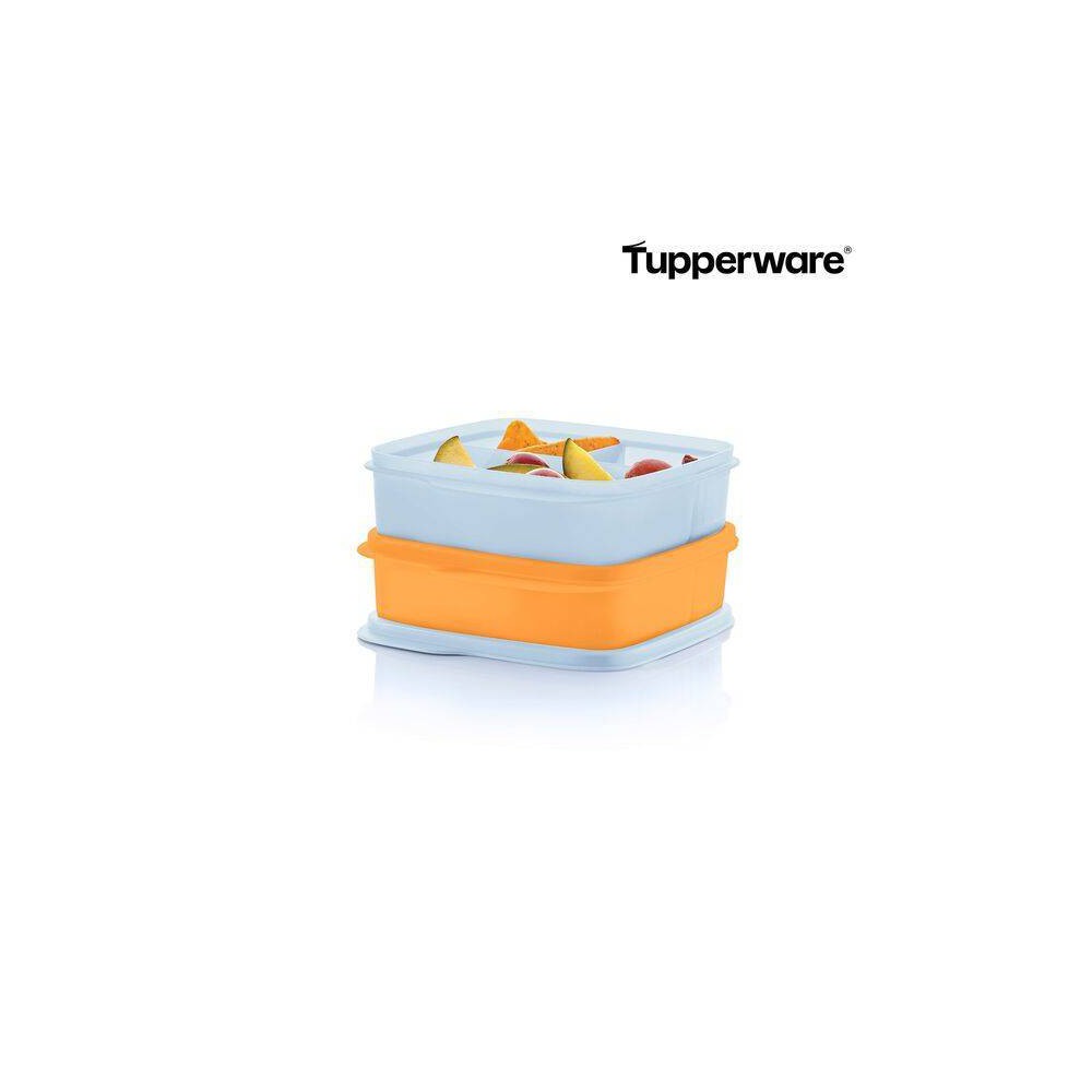 Tupperware Lunch-It Portion and Go Compact 2 Lunch Box Set