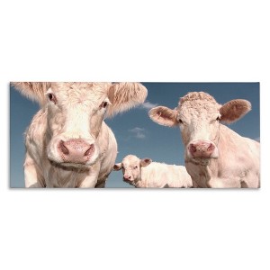 Stupell Industries Three White Cows, 24" x 10" - 1 of 4