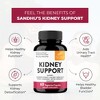 Sandhu's Kidney Cleanse Detox & Repair Support Supplement for Men & Women with Cranberry Extract, Helps Support Kidney & Urinary Tract Health, 60 Ct - 4 of 4