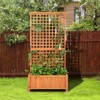 Tangkula Raised Garden Bed with Trellis Indoor & Outdoor Plant Container with Hanging Roof Drainage Holes for Climbing Vines Flowers - 3 of 4