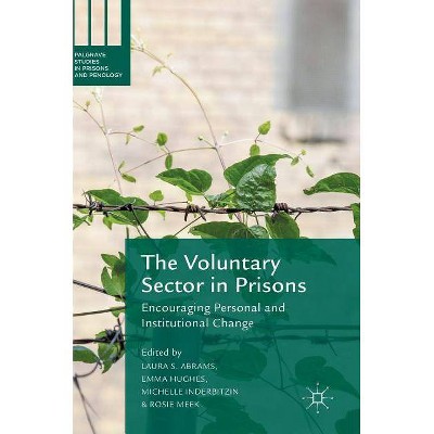 The Voluntary Sector in Prisons - (Palgrave Studies in Prisons and Penology) by  Laura S Abrams & Emma Hughes & Michelle Inderbitzin & Rosie Meek