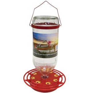 Humdinger Hummingbird 32 oz Glass Bottle Nectar Feeder 8 ports (Case of 12) - 1 of 1