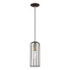 Livex Lighting Glenbrook 1 - Light Pendant in  Bronze/Antique Brass - 2 of 4